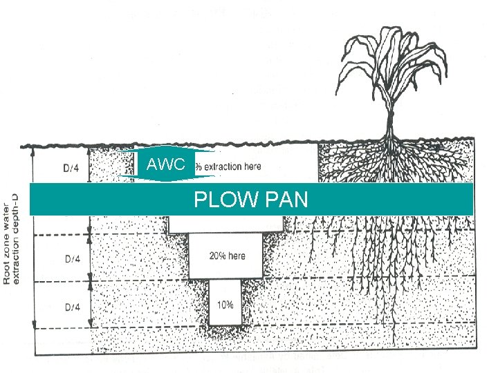 AWC PLOW PAN 