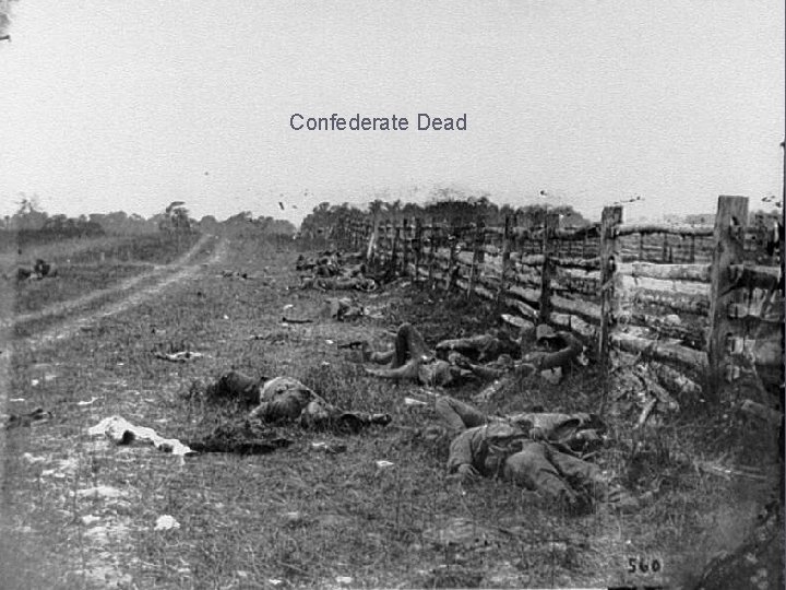 Confederate Dead 