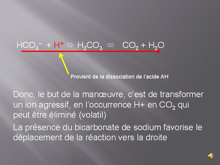 HCO 3– + H+ H 2 CO 3 CO 2 + H 2 O