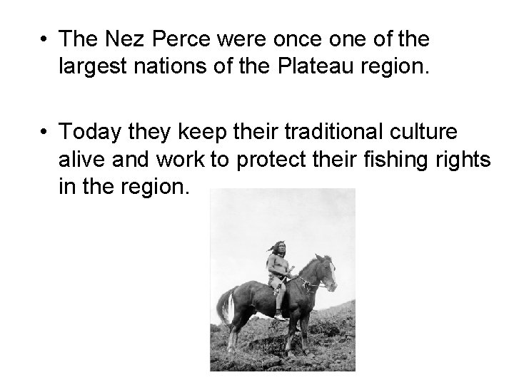  • The Nez Perce were once one of the largest nations of the