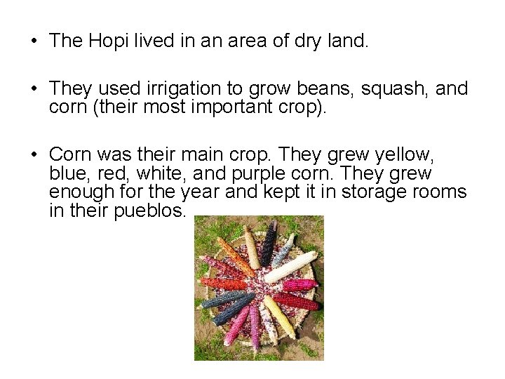  • The Hopi lived in an area of dry land. • They used
