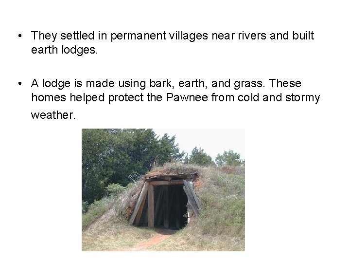  • They settled in permanent villages near rivers and built earth lodges. •
