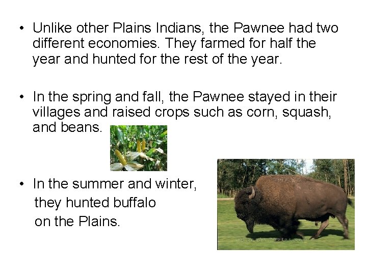  • Unlike other Plains Indians, the Pawnee had two different economies. They farmed