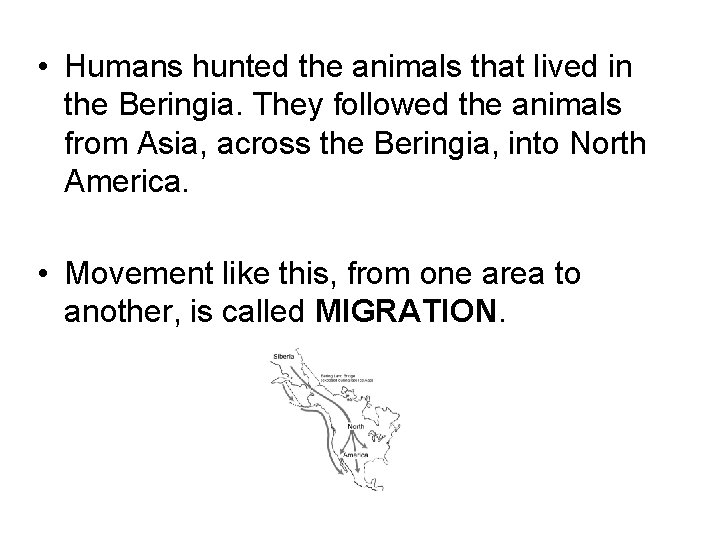  • Humans hunted the animals that lived in the Beringia. They followed the