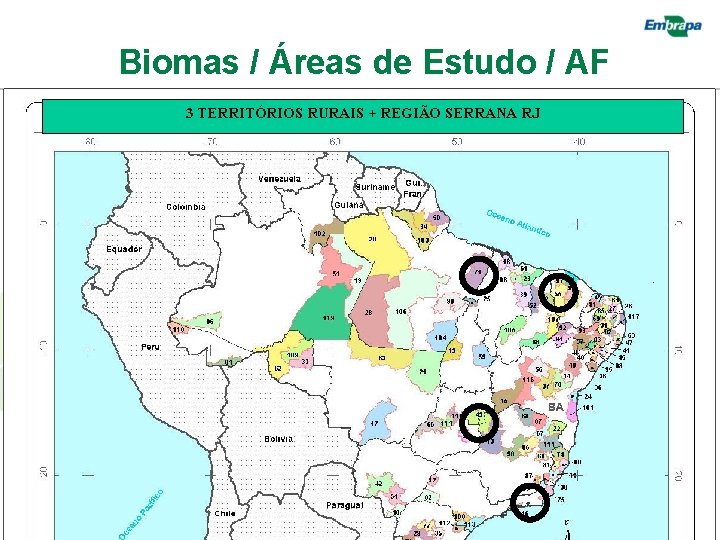 Biomas / Áreas de Estudo / AF 3 TERRITÓRIOS RURAIS + REGIÃO SERRANA RJ