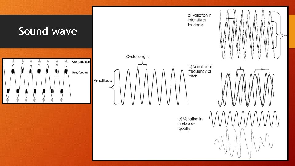 Sound wave 