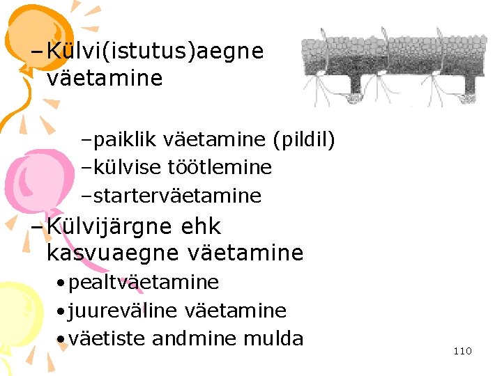 – Külvi(istutus)aegne väetamine –paiklik väetamine (pildil) –külvise töötlemine –starterväetamine – Külvijärgne ehk kasvuaegne väetamine