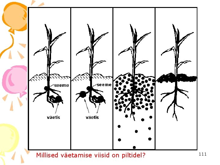 Millised väetamise viisid on piltidel? 111 