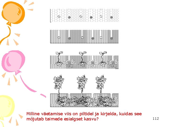 Milline väetamise viis on piltidel ja kirjelda, kuidas see mõjutab taimede esialgset kasvu? 112