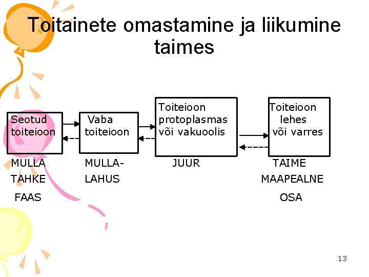 Toitainete omastamine ja liikumine taimes Seotud toiteioon Vaba toiteioon MULLA- TAHKE LAHUS FAAS Toiteioon