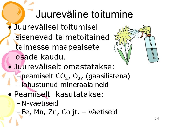 Juureväline toitumine • Juurevälisel toitumisel sisenevad taimetoitained taimesse maapealsete osade kaudu. • Juureväliselt omastatakse: