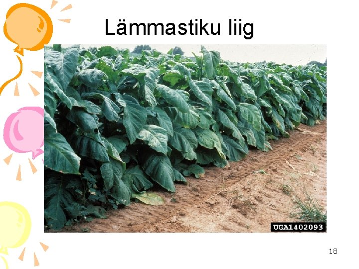 Lämmastiku liig 18 