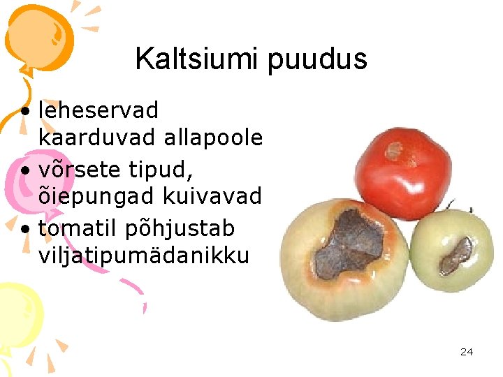 Kaltsiumi puudus • leheservad kaarduvad allapoole • võrsete tipud, õiepungad kuivavad • tomatil põhjustab