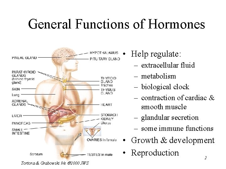 General Functions of Hormones • Help regulate: – – extracellular fluid metabolism biological clock