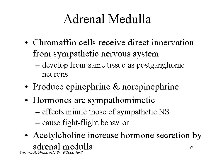 Adrenal Medulla • Chromaffin cells receive direct innervation from sympathetic nervous system – develop