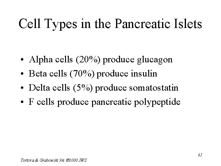 Cell Types in the Pancreatic Islets • • Alpha cells (20%) produce glucagon Beta