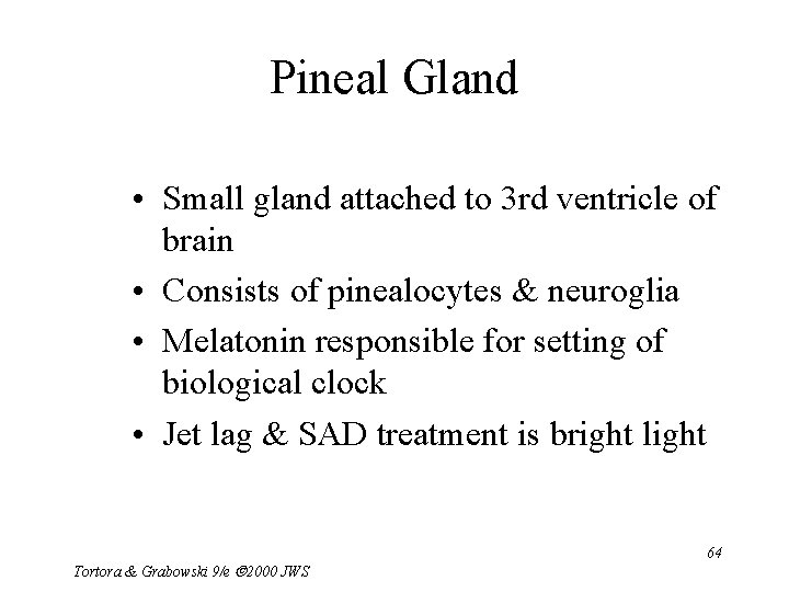 Pineal Gland • Small gland attached to 3 rd ventricle of brain • Consists