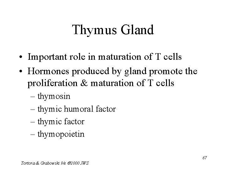 Thymus Gland • Important role in maturation of T cells • Hormones produced by