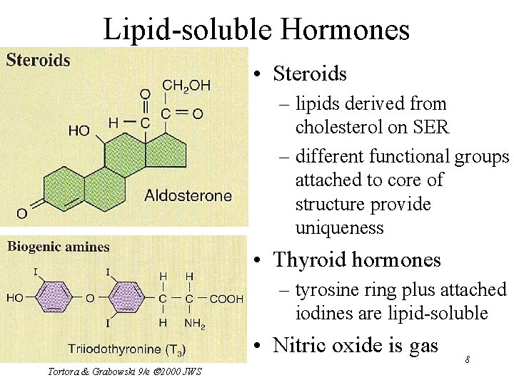 Lipid-soluble Hormones • Steroids – lipids derived from cholesterol on SER – different functional