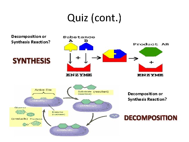 Quiz (cont. ) Decomposition or Synthesis Reaction? SYNTHESIS Decomposition or Synthesis Reaction? DECOMPOSITION 