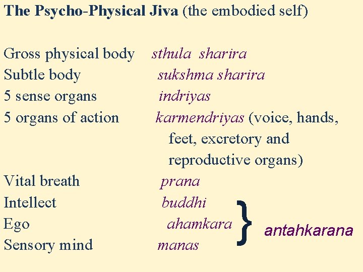 The Psycho-Physical Jiva (the embodied self) Gross physical body Subtle body 5 sense organs The Psycho-Physical Jiva (the embodied self) Gross physical body Subtle body 5 sense organs