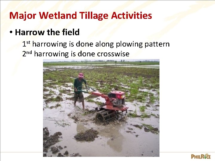 Major Wetland Tillage Activities • Harrow the field 1 st harrowing is done along