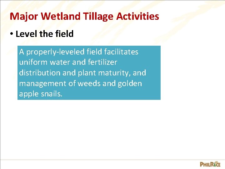 Major Wetland Tillage Activities • Level the field A properly-leveled field facilitates uniform water