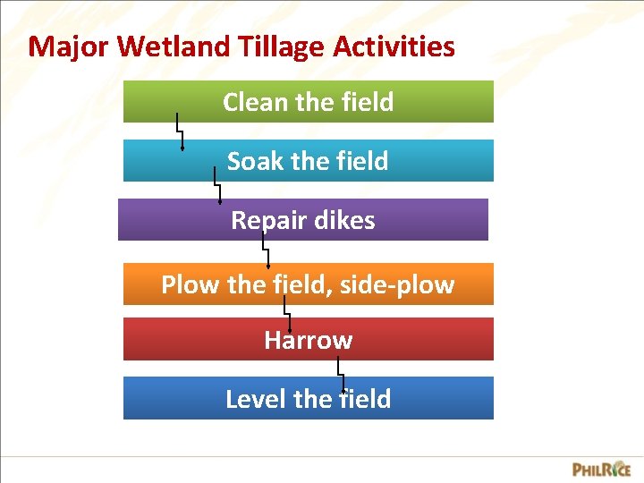 Major Wetland Tillage Activities Clean the field Soak the field Repair dikes Plow the