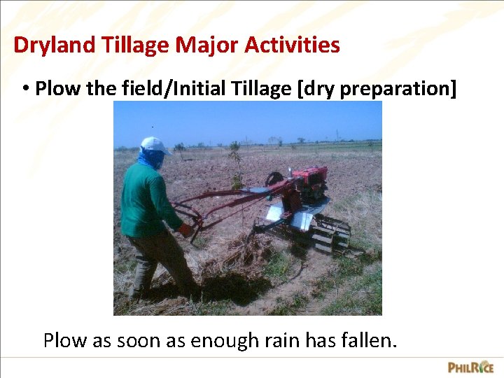 Dryland Tillage Major Activities • Plow the field/Initial Tillage [dry preparation] 2 ha/day Plow