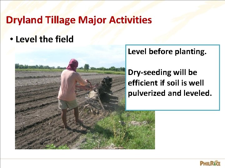 Dryland Tillage Major Activities • Level the field Level before planting. Dry-seeding will be