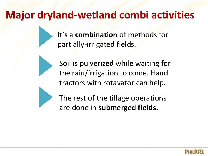 Major dryland-wetland combi activities It’s a combination of methods for partially-irrigated fields. Soil is