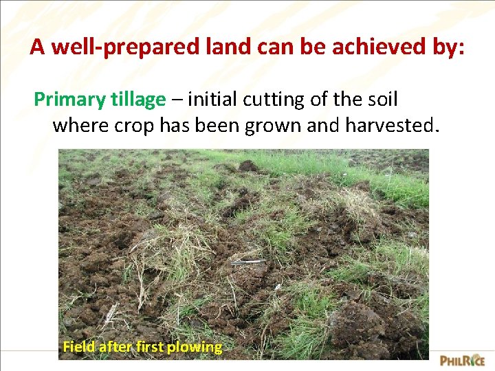 A well-prepared land can be achieved by: Primary tillage – initial cutting of the