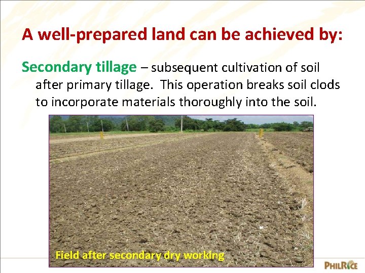 A well-prepared land can be achieved by: Secondary tillage – subsequent cultivation of soil