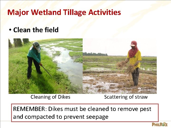Major Wetland Tillage Activities • Clean the field Cleaning of Dikes Scattering of straw