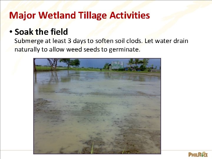 Major Wetland Tillage Activities • Soak the field Submerge at least 3 days to
