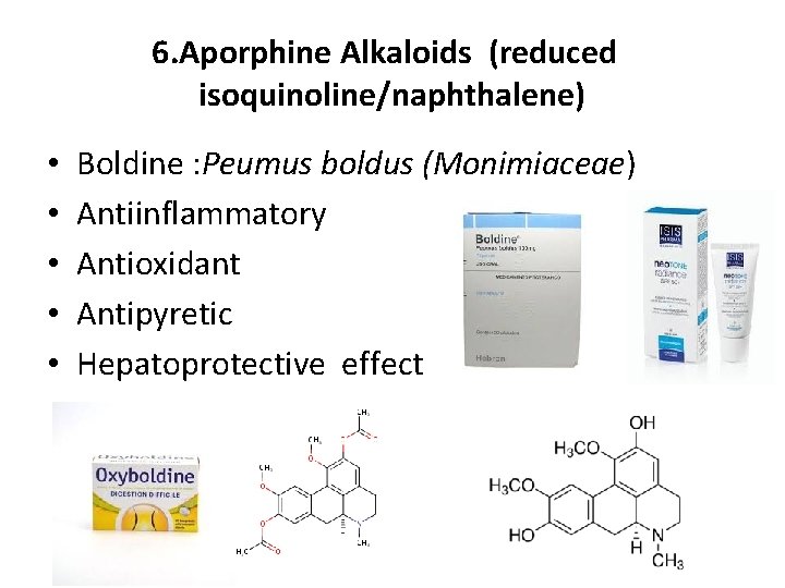 6. Aporphine Alkaloids (reduced isoquinoline/naphthalene) • • • Boldine : Peumus boldus (Monimiaceae) Antiinflammatory