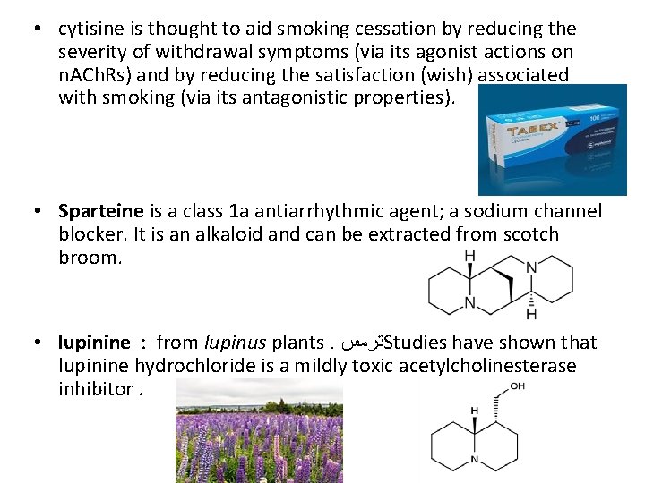  • cytisine is thought to aid smoking cessation by reducing the severity of