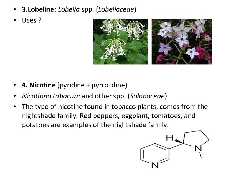  • 3. Lobeline: Lobelia spp. (Lobeliaceae) • Uses ? • 4. Nicotine (pyridine