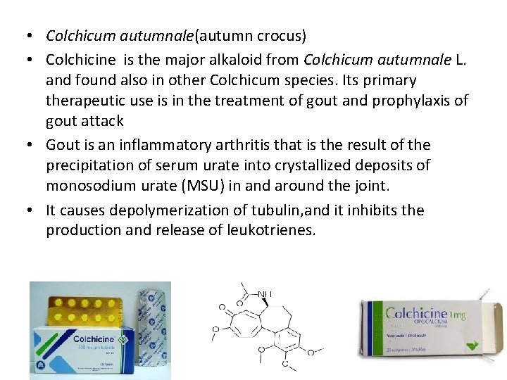  • Colchicum autumnale(autumn crocus) • Colchicine is the major alkaloid from Colchicum autumnale