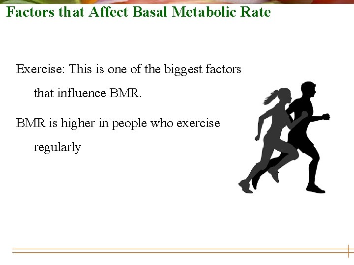 Basal Metabolic Rate Presented By Ajith K K