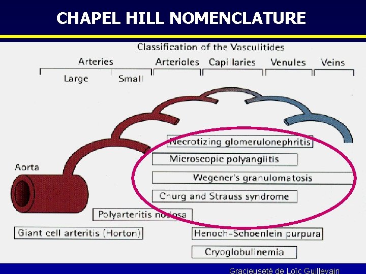 CHAPEL HILL NOMENCLATURE Gracieuseté de Loïc Guillevain 