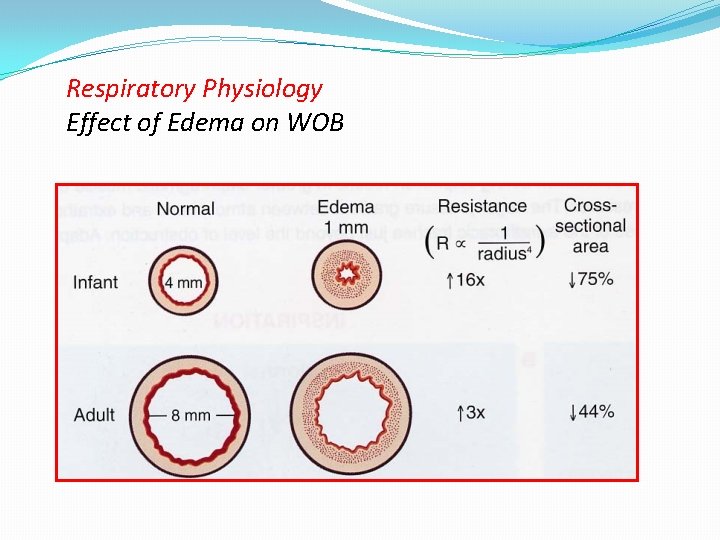 Respiratory Physiology Effect of Edema on WOB 
