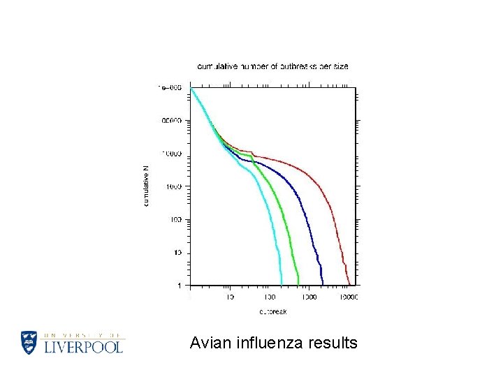 Avian influenza results 