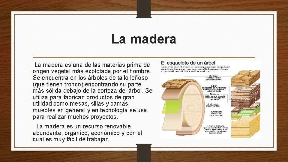 La madera es una de las materias prima de origen vegetal más explotada por