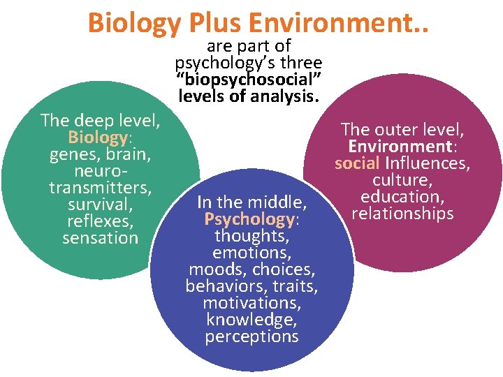 Biology Plus Environment. . are part of psychology’s three “biopsychosocial” levels of analysis. The