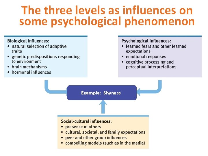 The three levels as influences on some psychological phenomenon Example: Enjoying Depression Intelligence Soccer