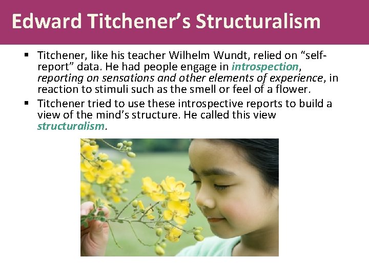 Edward Titchener’s Structuralism § Titchener, like his teacher Wilhelm Wundt, relied on “selfreport” data.