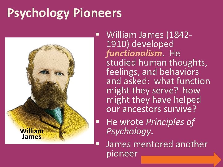 Psychology Pioneers William James § William James (18421910) developed functionalism. He studied human thoughts,