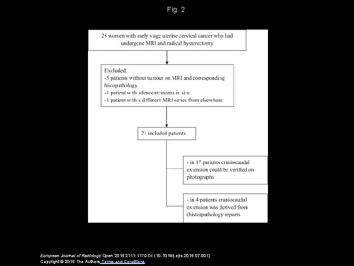 Fig. 2 European Journal of Radiology Open 2015 2111 -117 DOI: (10. 1016/j. ejro.