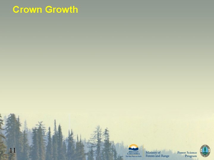 Crown Growth 11 